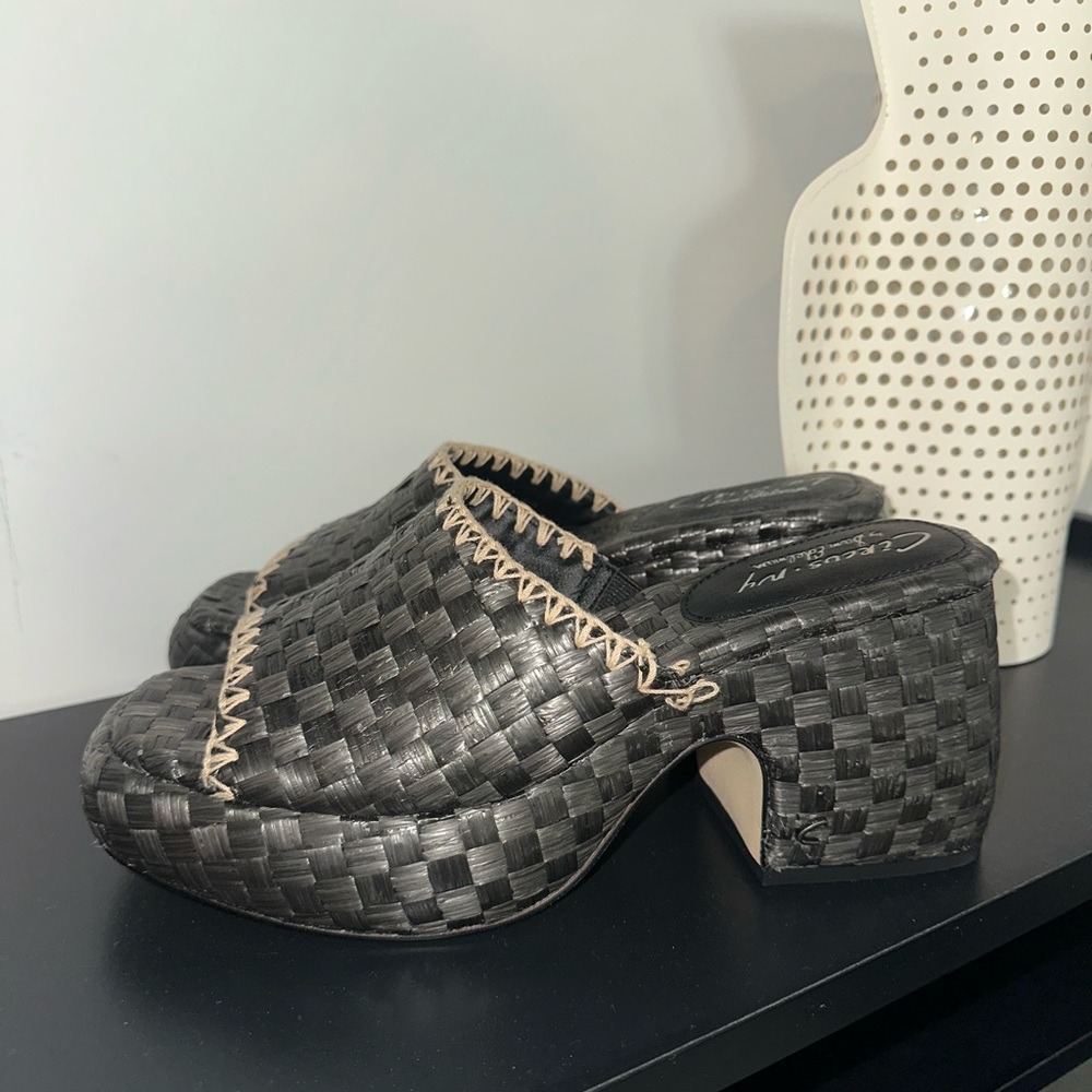 Chic Woven Black Clogs